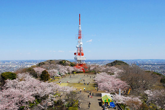 平塚エリアの高収入バイト