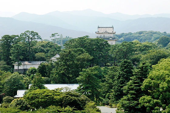 小田原エリアの高収入バイト